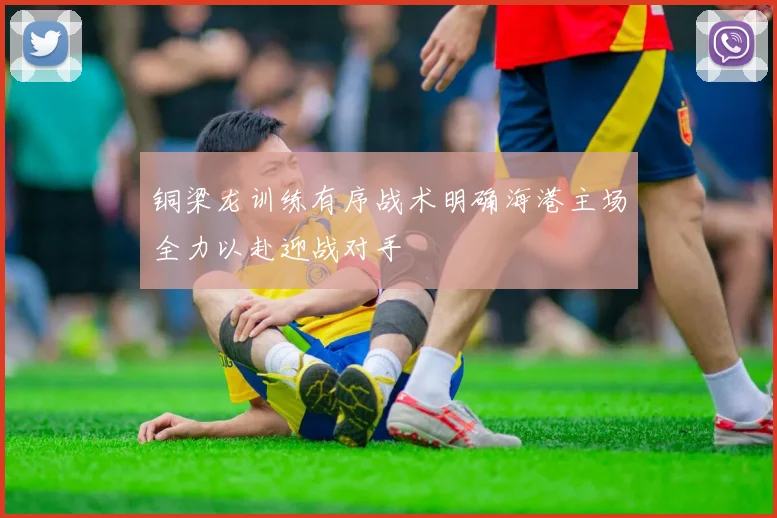 铜梁龙训练有序战术明确海港主场全力以赴迎战对手
